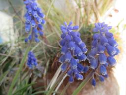 EIMG_7616