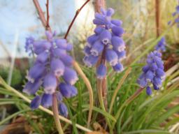 EIMG_7617