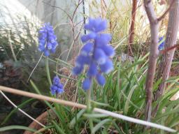 EIMG_7618