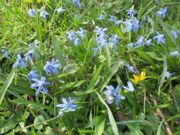 EIMG_7642