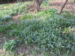 EIMG_7643