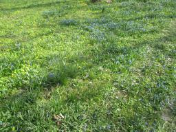 EIMG_7644