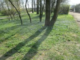 EIMG_7645