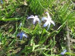 EIMG_7647