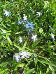 EIMG_7648