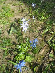 EIMG_7649