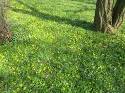 EIMG_7650
