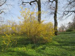 EIMG_7652