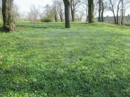 EIMG_7653