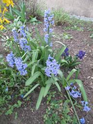 EIMG_7662