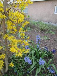 EIMG_7663