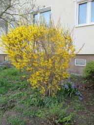 EIMG_7664