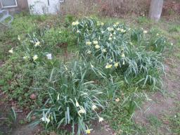 EIMG_7665