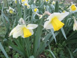 EIMG_7666