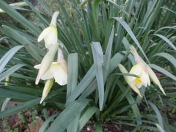 EIMG_7667