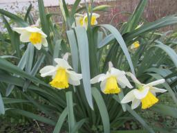 EIMG_7668