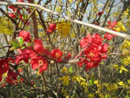 EIMG_7689