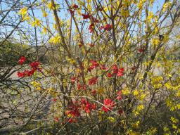 EIMG_7690