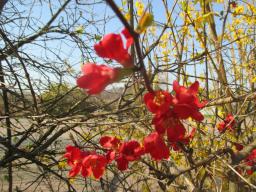 EIMG_7691