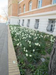 EIMG_7692