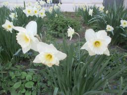 EIMG_7693