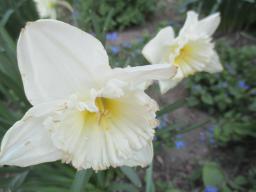 EIMG_7694