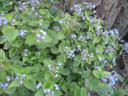 EIMG_7695