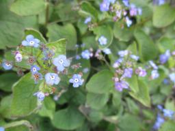 EIMG_7696
