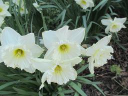 EIMG_7697