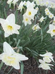 EIMG_7699