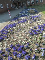 EIMG_7720