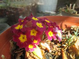 EIMG_7751