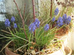 EIMG_7752