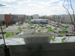 EIMG_7758