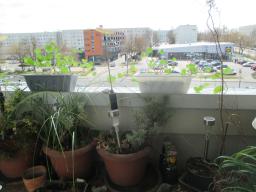 EIMG_7759