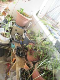 EIMG_7762