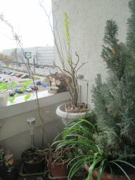 EIMG_7764