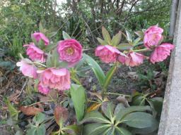 EIMG_7767
