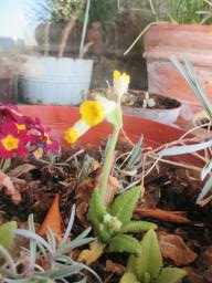 EIMG_7768