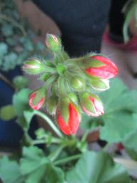 EIMG_7772