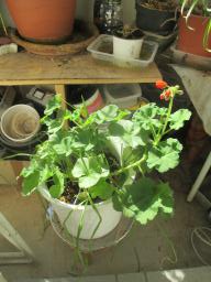EIMG_7786