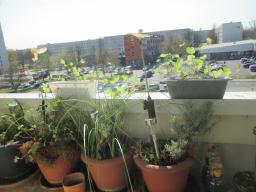 EIMG_7787