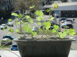 EIMG_7788