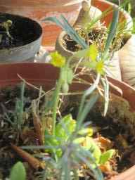 EIMG_7790