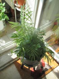 EIMG_7792