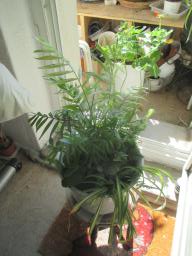 EIMG_7793