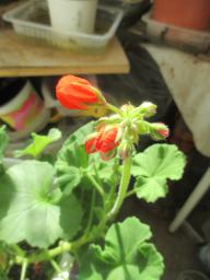 EIMG_7794