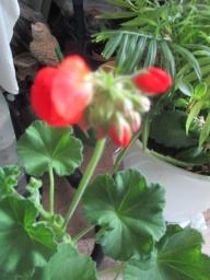 EIMG_7795