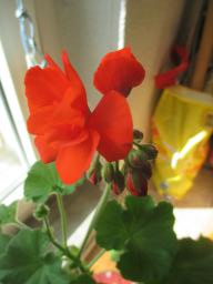 EIMG_7799