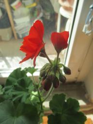 EIMG_7800
